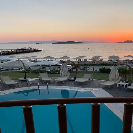 Small トゥルグトレイス