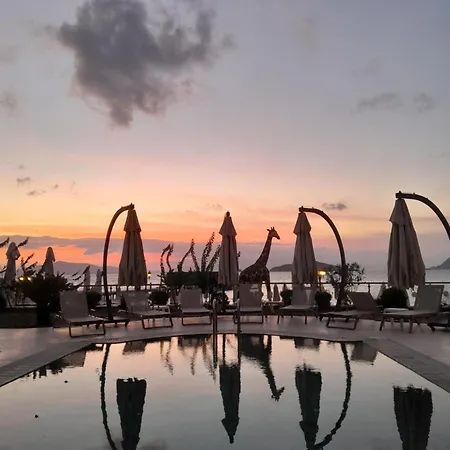 Hotel Small Turgutreis